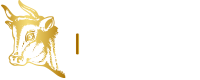 Golden Cow